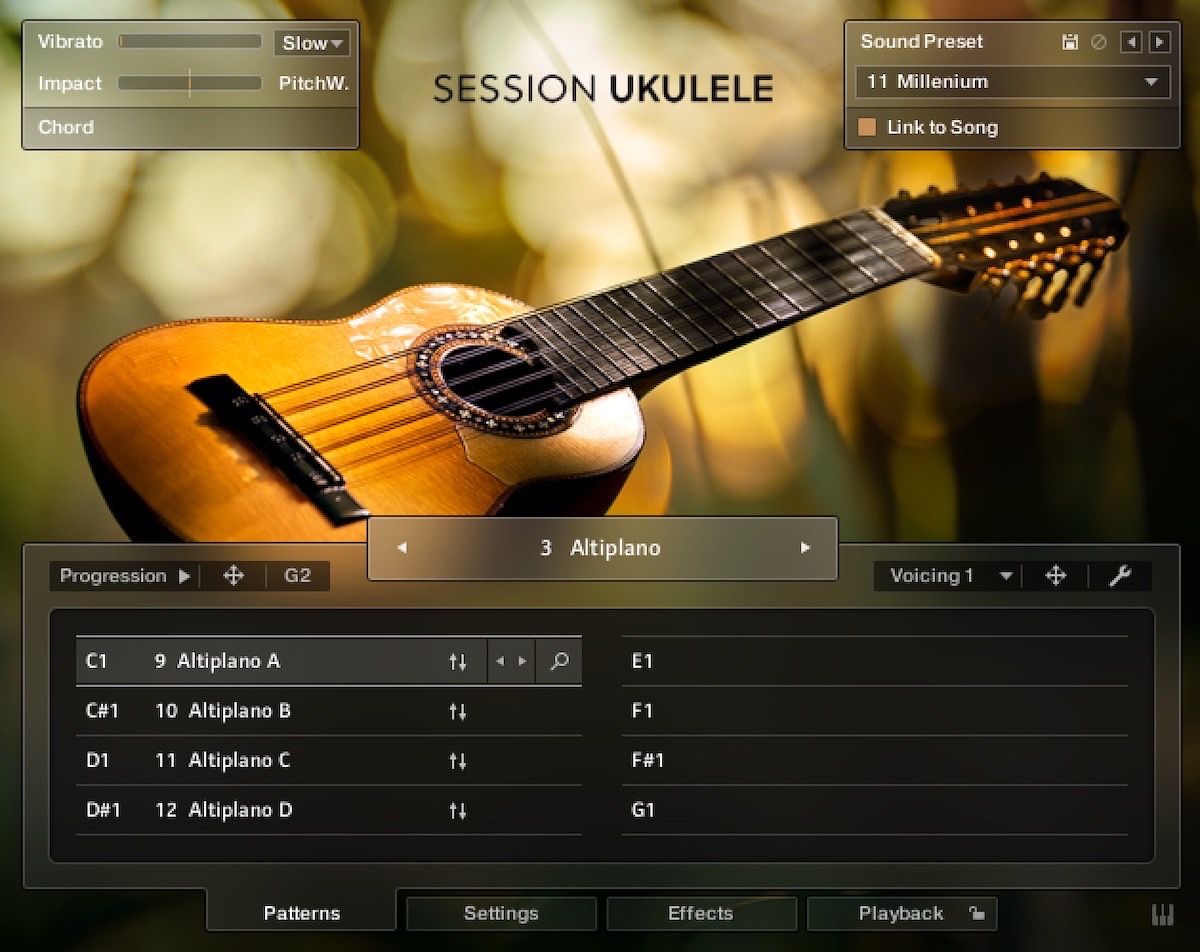 Session ukulele